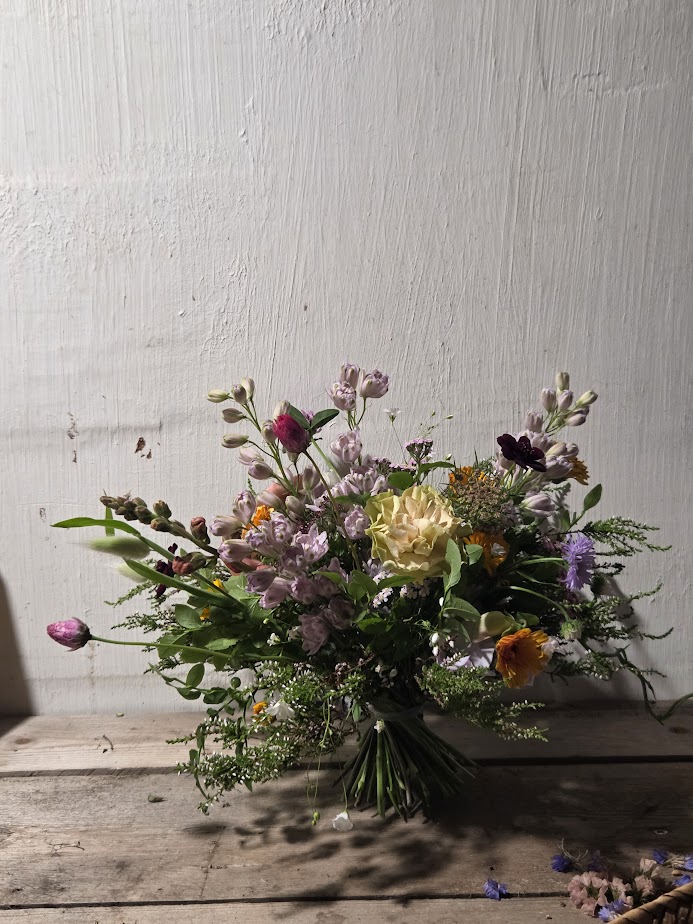 XL-koon kimppu, rennompi malli