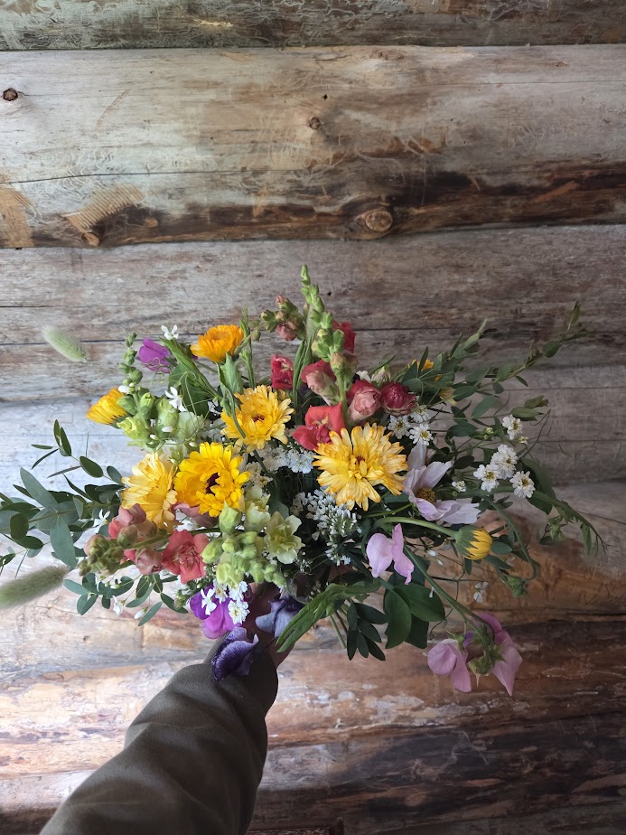 L-koon kimppu, rennompi malli