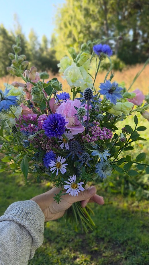 S-koon kimppu, korkeampi malli